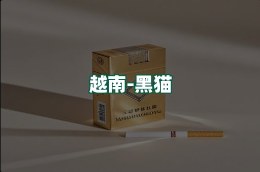 越南黑猫